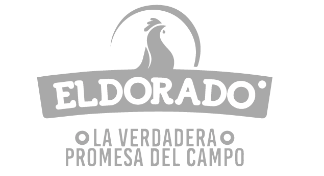 2_Mesa-de-trabajo-1-1